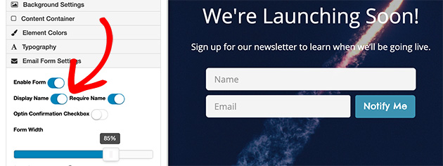 Clicking Display Name adds a field for your visitors’ name