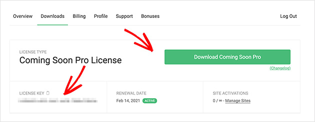 Download SeedProd plugin