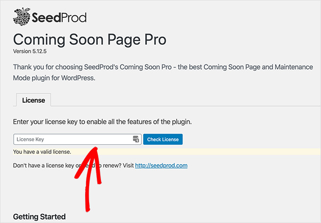 Enter SeedProd license key