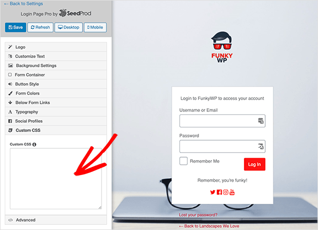 Enter your custom CSS