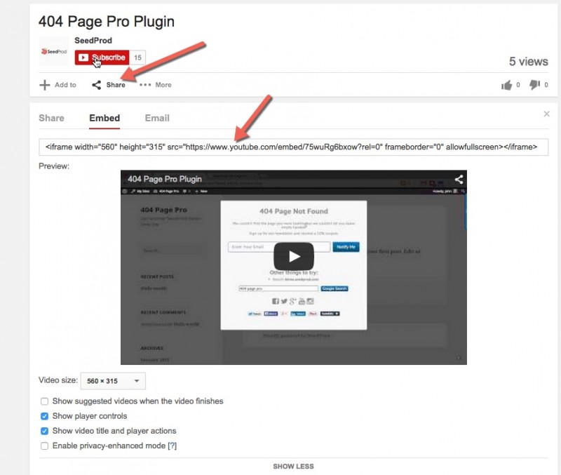 Manually embedding a YouTube Video in WordPress