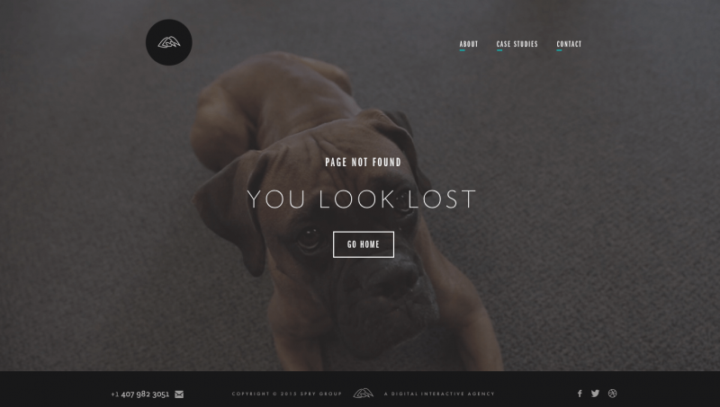 Wearespry 404 Page Puppy Screenshot