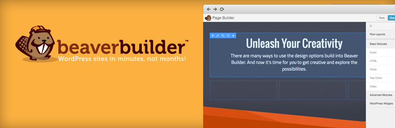 Best Page Builder Plugin