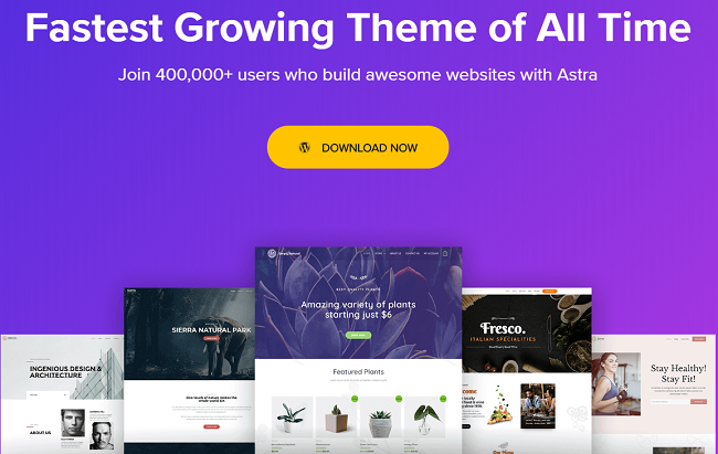 astra WordPress responsive theme examples