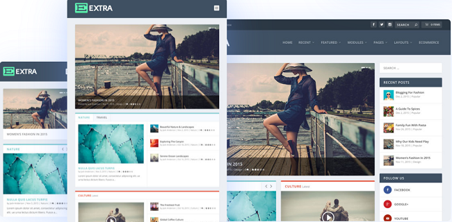 Extra SeedProd Extra best wordpress themes for business