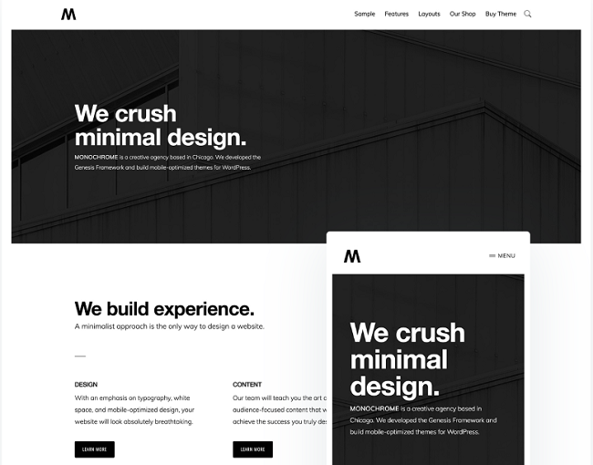 MonochromePro SeedProd Best premium WordPress theme for small business