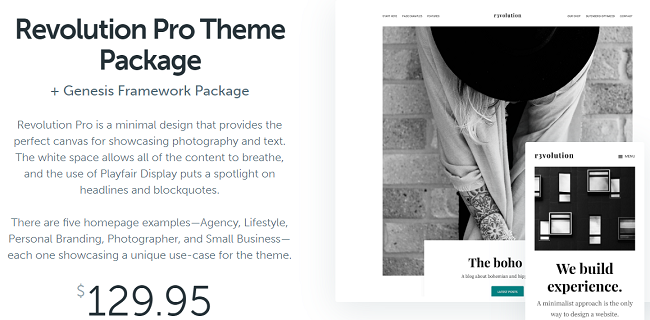 RevolutionProThemePackage SeedProd Best WordPress themes for small business