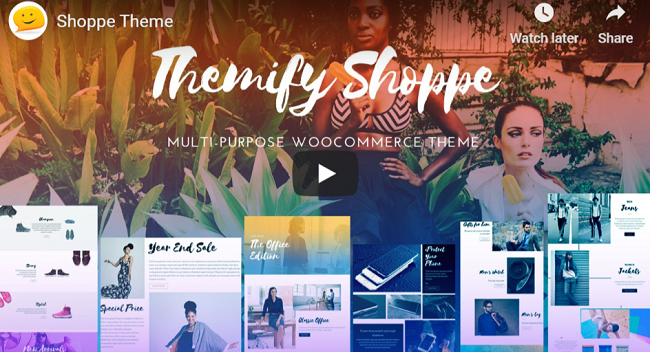 Shoppe WordPress theme for business websites