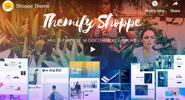 Shoppe SeedProd Shoppe WordPress theme for business websites