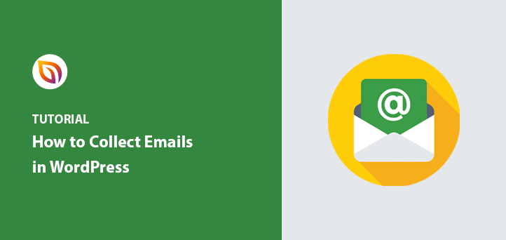 How to Collect Email Addresses in WordPress (29 Tips)
