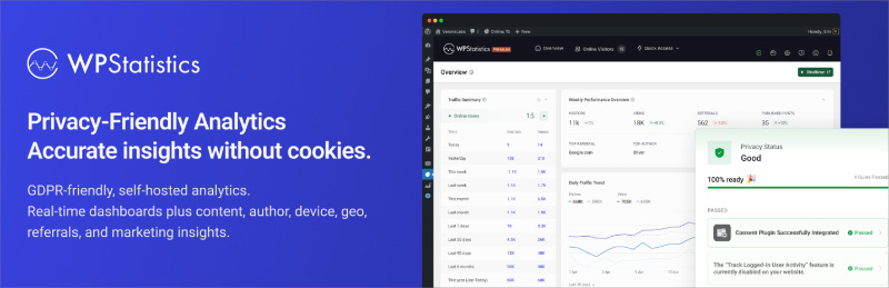 wp-statistics - SeedProd WP Statistics plugin in WordPress showing privacy-focused visitor analytics without Google Analytics