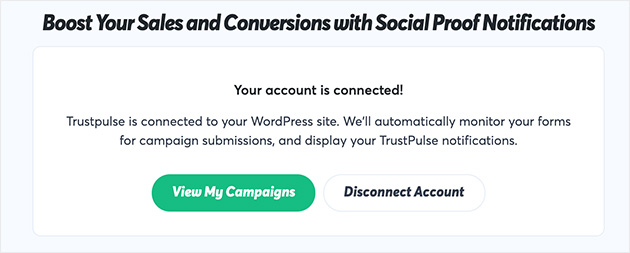 Screenshot of connected account success message. Click view my campaigns to create a new campaign