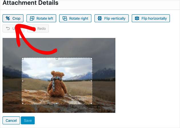 Click the crop button to crop your image in WordPress