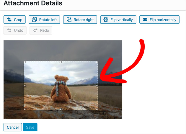 Click and drag to crop your image in WordPress