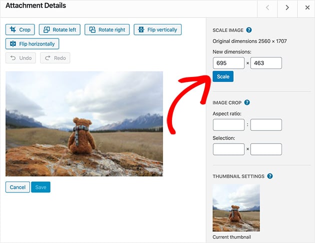 Click scale to use WordPress to resize image