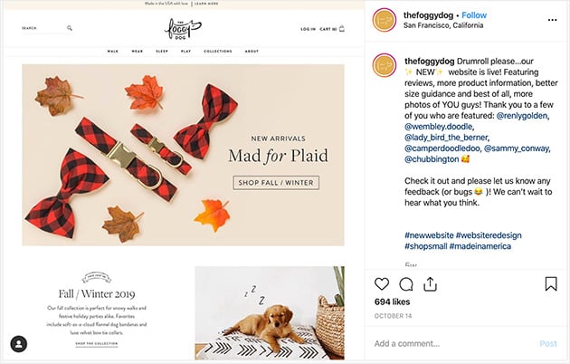 The foggy dog new website launch instagram post