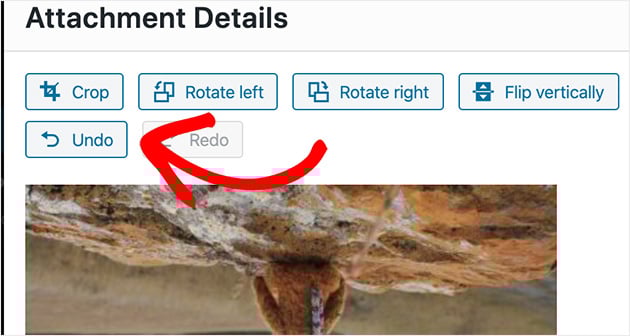 undo-image-rotate-wordpress - SeedProd Undo changes by clicking the Undo button.