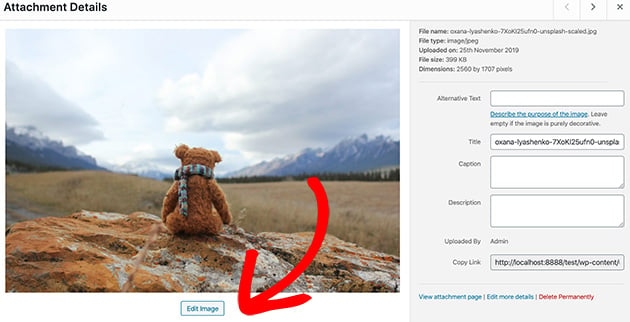 Click the Edit Image button to use WordPress to resize image