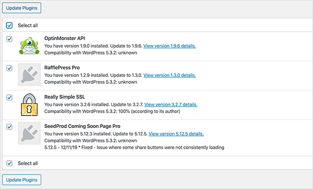 Bulk updating plugins in WordPress