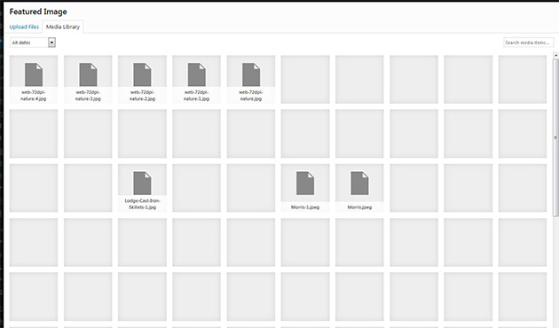 Images missing in image library wordpress