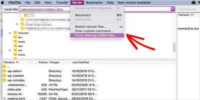 filezilla show hidden files on server filezilla show hidden files on server