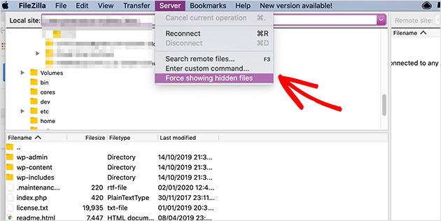 Show hidden files in your FTP client