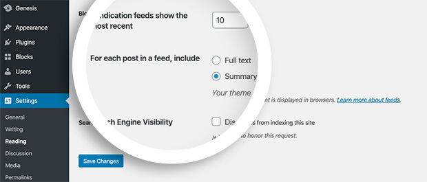 Display a post summary in wordpress