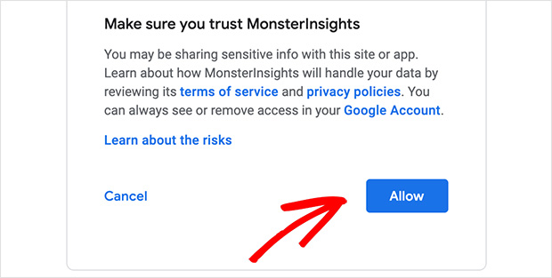 allow-connection-monsterinsights - SeedProd Click allow button