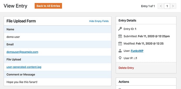 View the uploaded file information in WordPress using WPForms