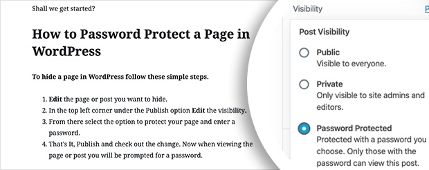 protect posts with a wordpress password protect page