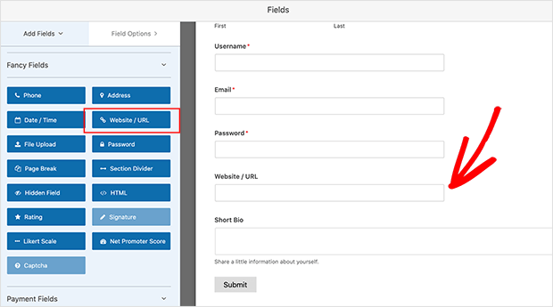 Website URL field