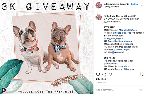 Instagram giveaway contest type