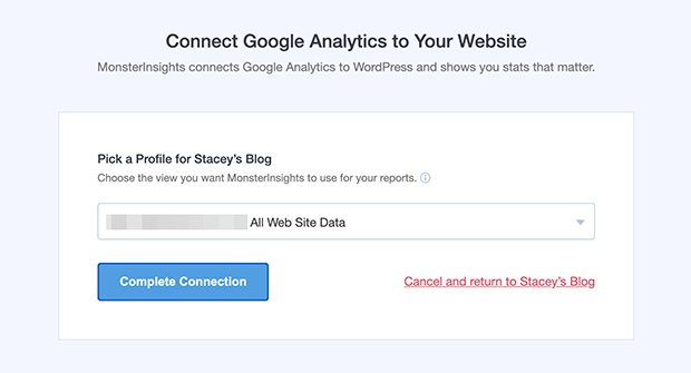 Choose which website profile you want to connect with MonsterInsights