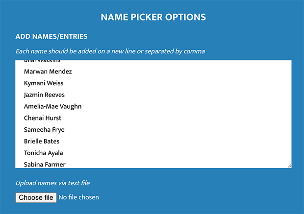Enter your list of giveaway entry names into an online random comment picker