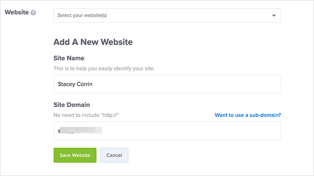 Enter your website details