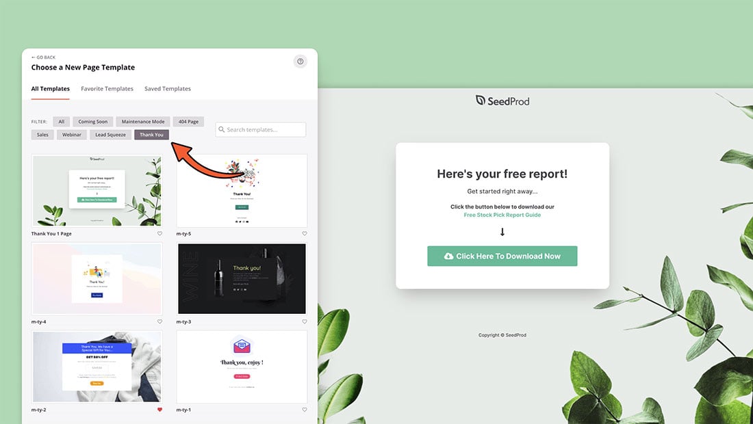 20+ Responsive WordPress Thank You Page Templates + Examples