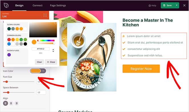 block-customization-options - SeedProd Bullet list customization options