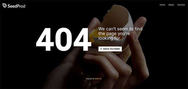 broken egg 404 page template design from SeedProd