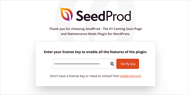 Enter you SeedProd license key to verify the plugin.