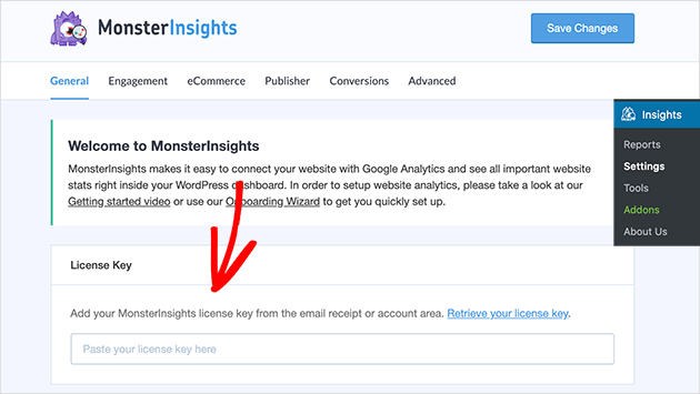 Enter your MonsterInsights license key