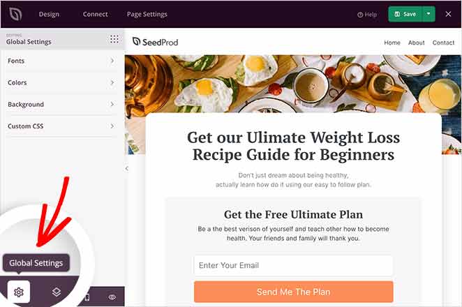 global-settings - SeedProd global landing page settings