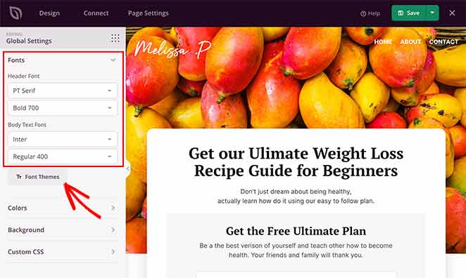 landing-page-fonts - SeedProd customize your landing page fonts