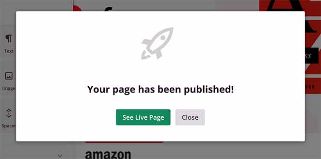 landing-page-is-published - SeedProd Your page has been published, see live page