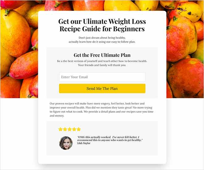 lead-capture-page-WordPress - SeedProd lead capture landing page