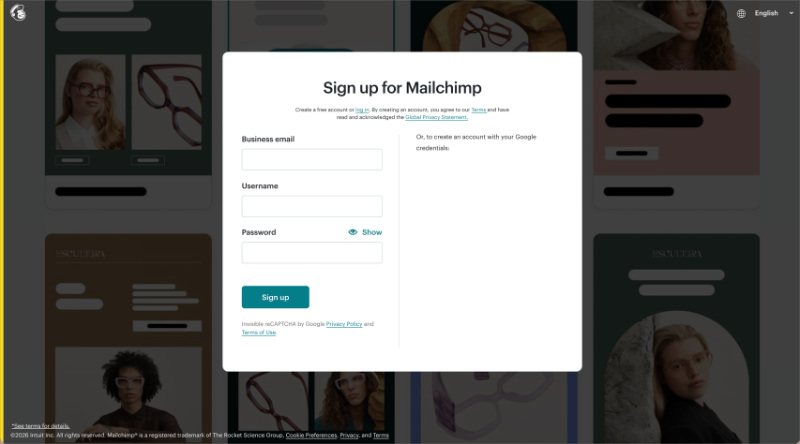mailchimp signup landing page example