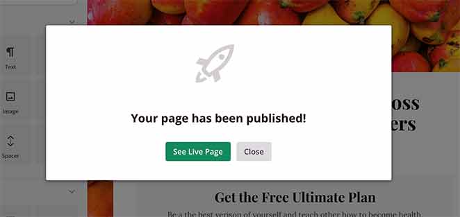 see-published-landing-page - SeedProd Your page has been published, see your live page.