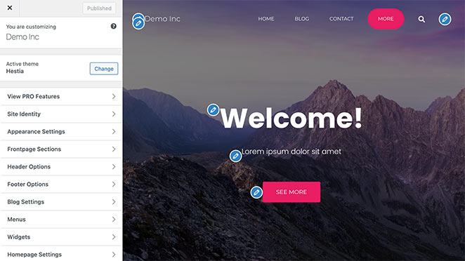 WordPress-live-customizer - SeedProd WordPress live customizer with website preview