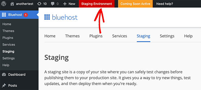 The red label indicates that you are using your staging environment