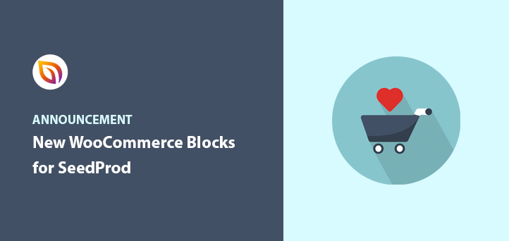 Introduction de nouveaux blocs WooCommerce personnalisés pour SeedProd