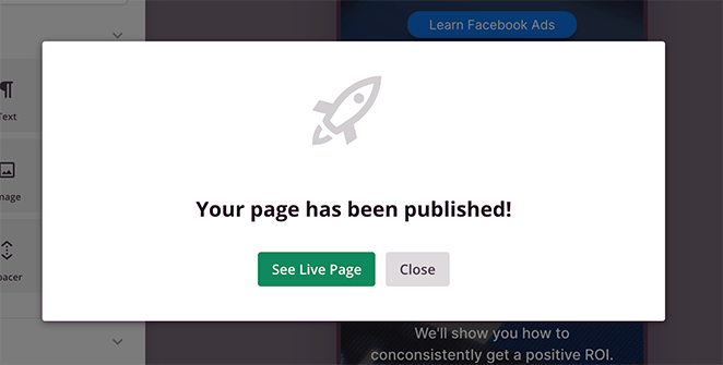 Click the See Live Page button to preview your landing page